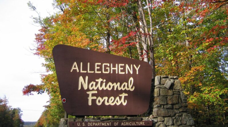 Allegheny National Forest Sign
