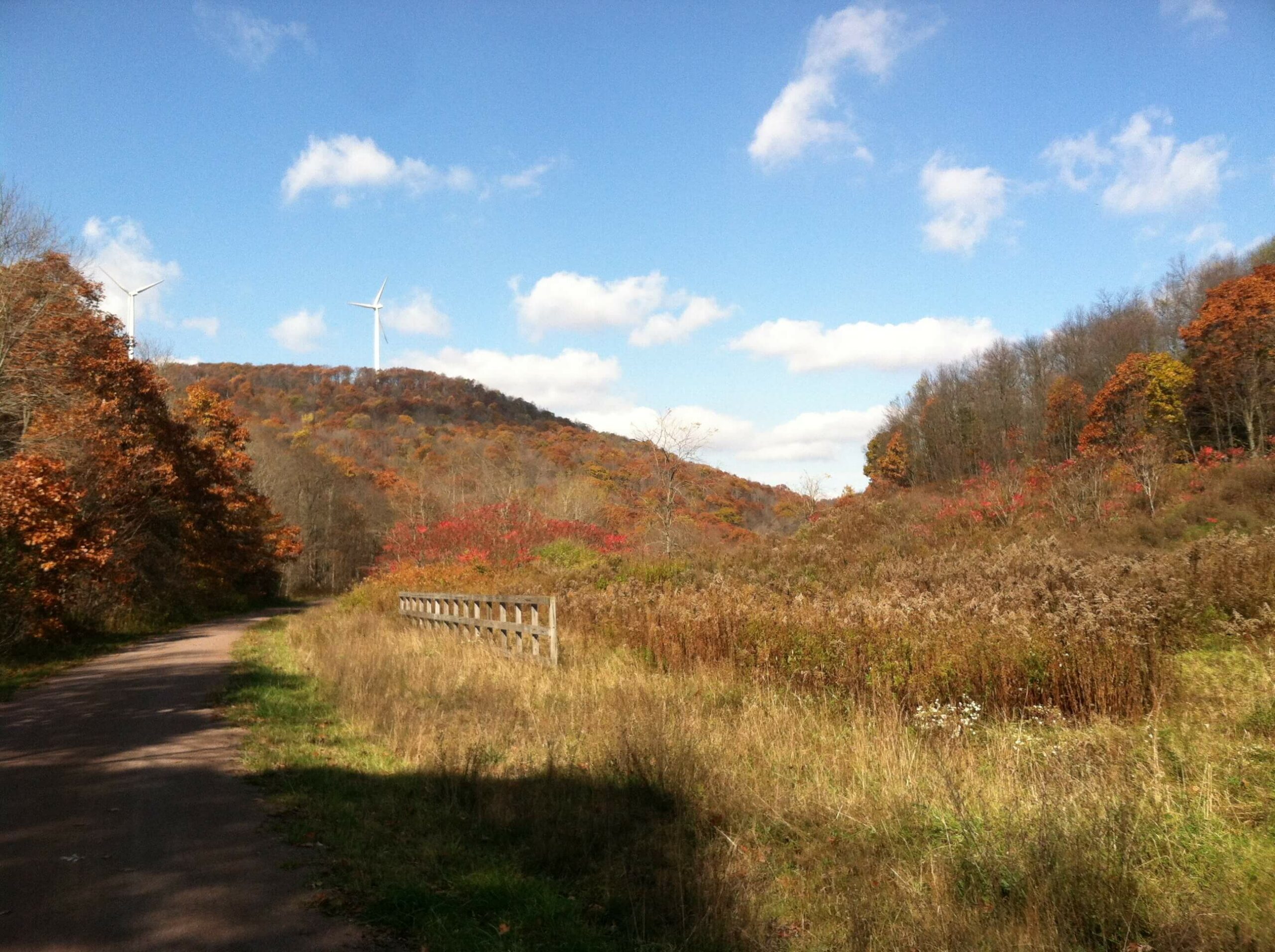 Great Allegheny Passage in Fall
