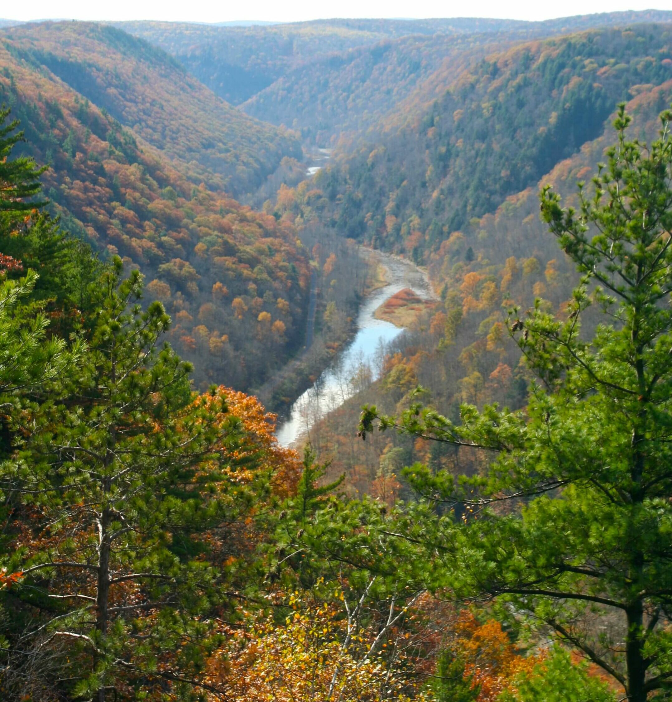 Pine Creek Gorge in Autumn