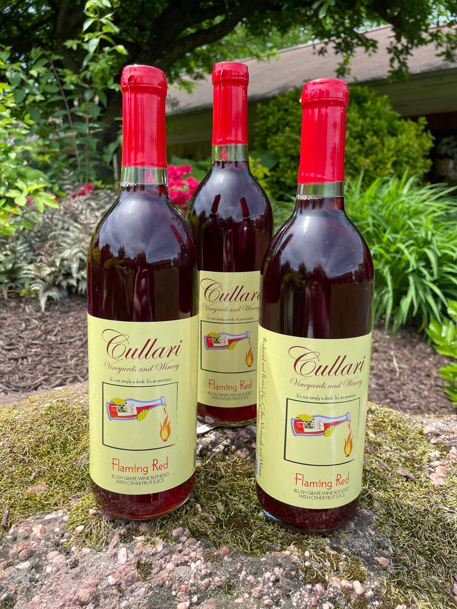 Cullari Vineyards and Winery Flaming Red