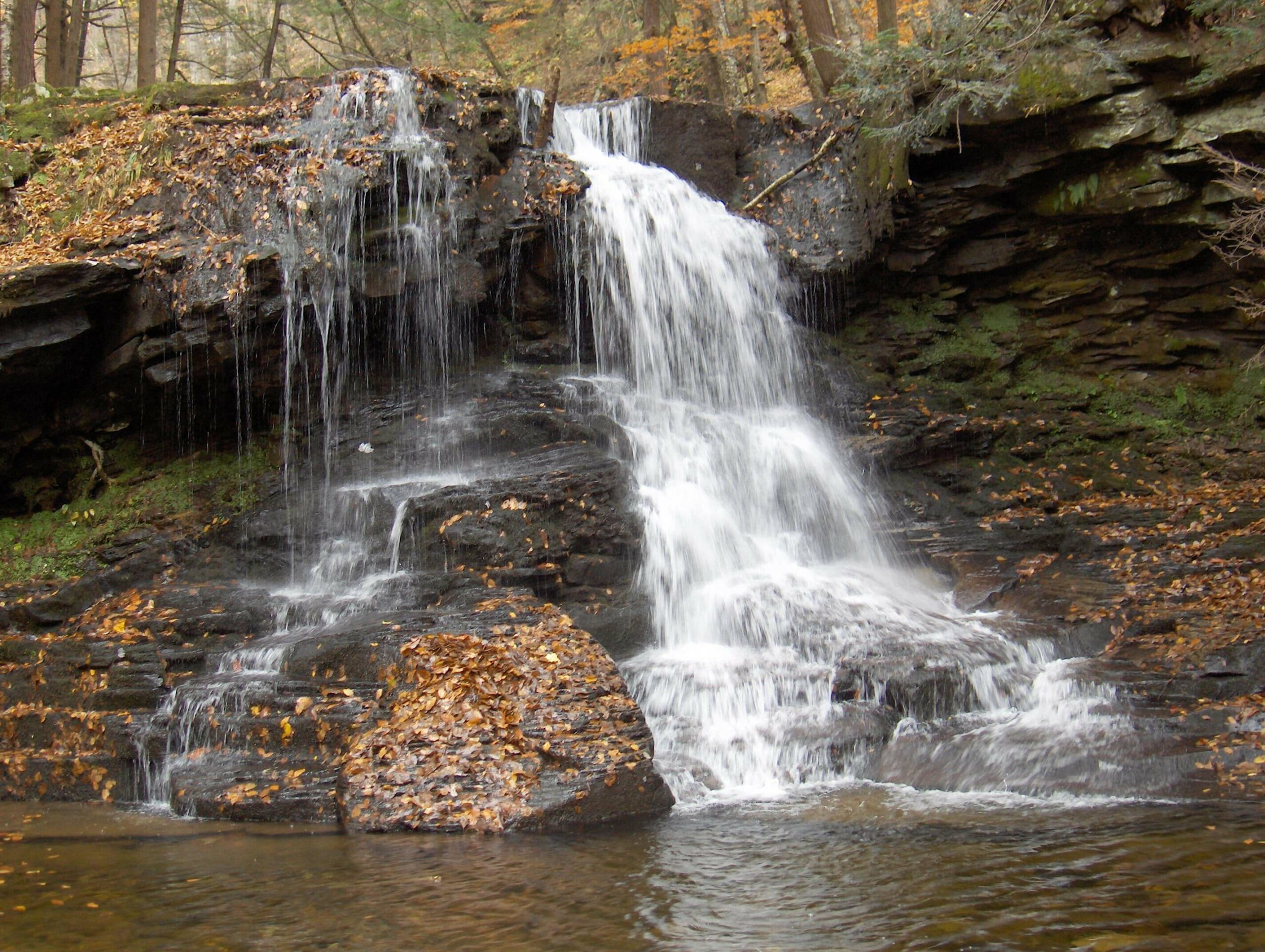 Loyalsock State Forest Waterfalls