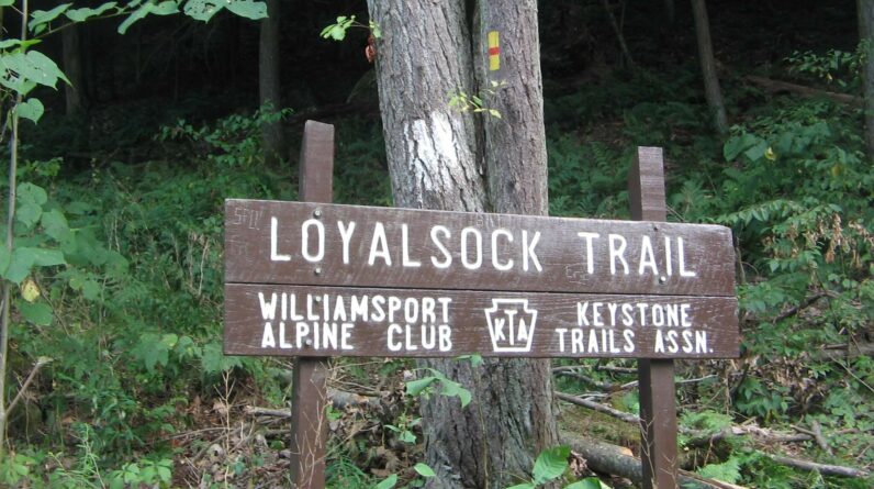 Loyalsock Trailhead
