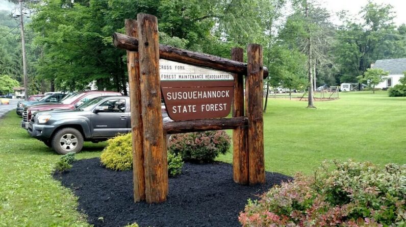 Overlanding at Susquehannock State Forest